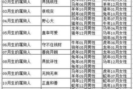 2023年属狗人的运势和命理分析：狗年必知的颜色与特点