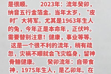 2023年兔年命运解析：探索兔子的命理与运势