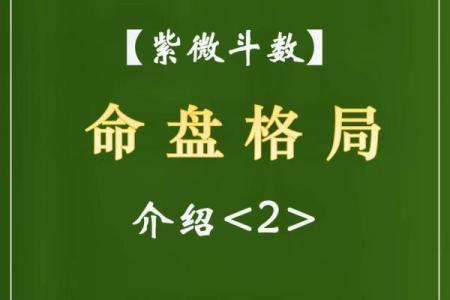 揭秘紫薇命盘软件：免费获取人生智慧的最佳选择！