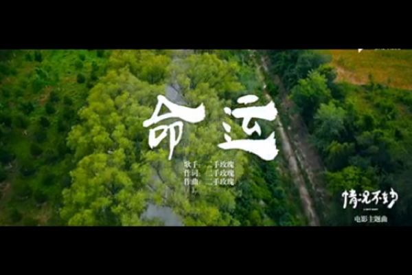 2009年：属于怎样命运的一年与我们的生活启示