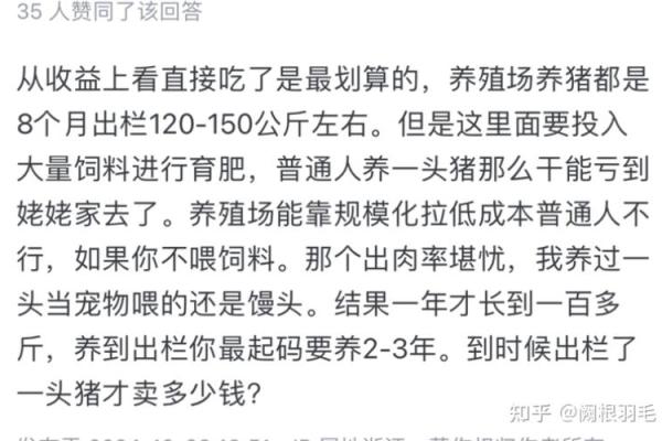 属猪人48岁命运分析:快乐与挑战并存的生命之路 属猪人48岁命运分析:快乐与挑战并存的生命之路