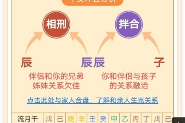 东四命与西四命：命理中的两大分支与生活智慧探讨