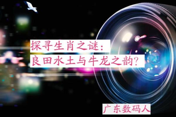 探索乃命乃命账饥究背后的生肖之谜，揭开生肖的奥秘与文化!