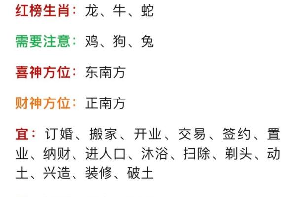 49岁属什么命？揭秘不同生肖人生轨迹与命运解析