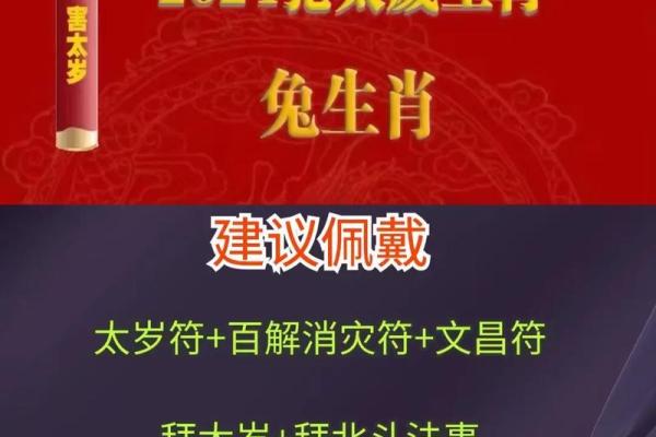 2027年属什么年命？探索兔年带来的机遇与挑战