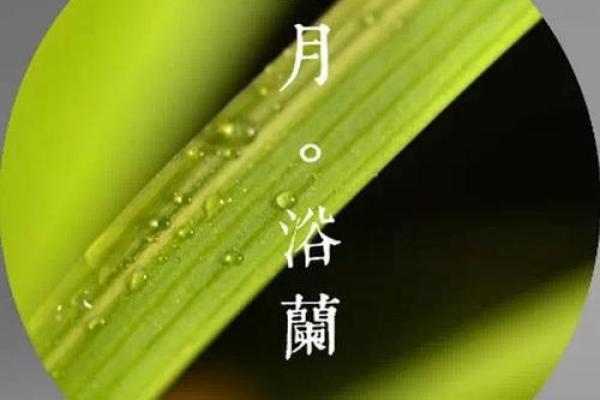 2017年阴历十一的命运解析与人生启示