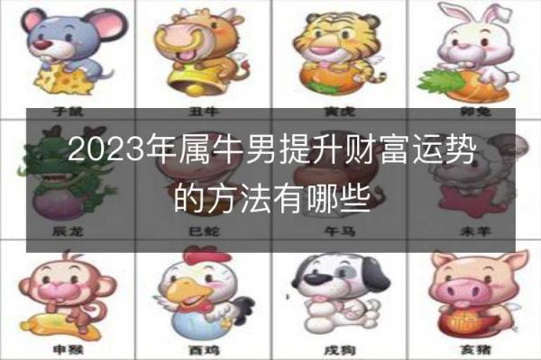 牛年命理分析:如何抓住2023的好运机会 牛年命理分析:如何抓住2023的好运机会