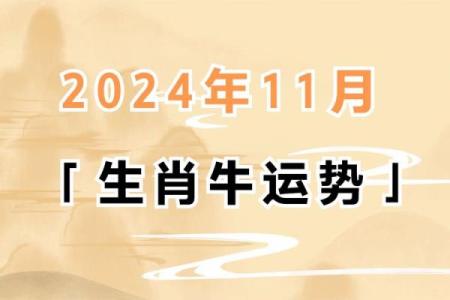 71岁牛年属什么命？探寻人生的智慧与命运之道