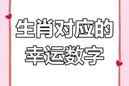 根据算命看自己生肖命运的奥秘与启示