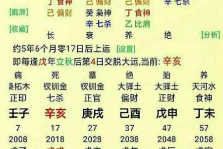 丙辰壬辰命格解析：揭秘命运背后的神秘力量