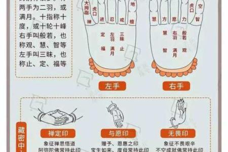 从手指粗细解密女士命运，探索女性手指背后的秘密