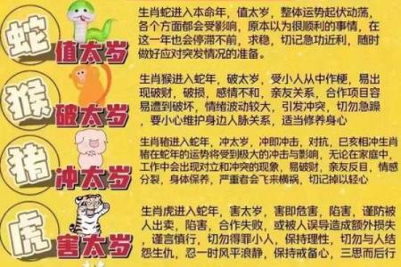 49岁属什么命？揭秘不同生肖人生轨迹与命运解析