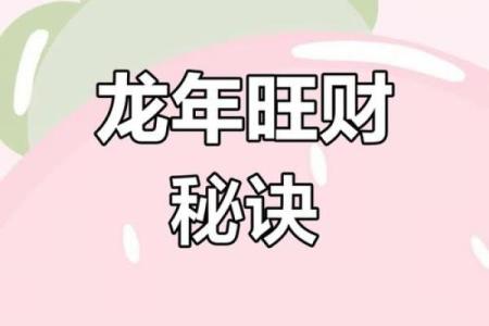 2019年属龙人的命运解析：探寻成功与幸福的秘密