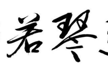 《命若琴弦：在命运的旋律中起舞》