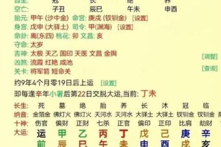 探索戊寅丁巳丁卯庚戌命的秘密与人生哲学