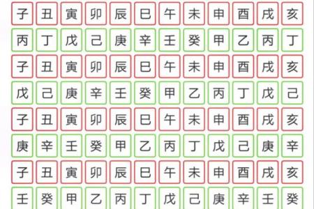 丙亥土命：命理解析与生活指导的智慧之旅