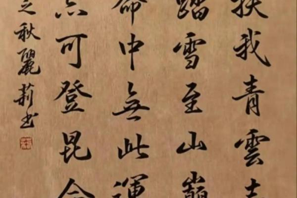 时也命也运亦命，生活的无常与选择的智慧