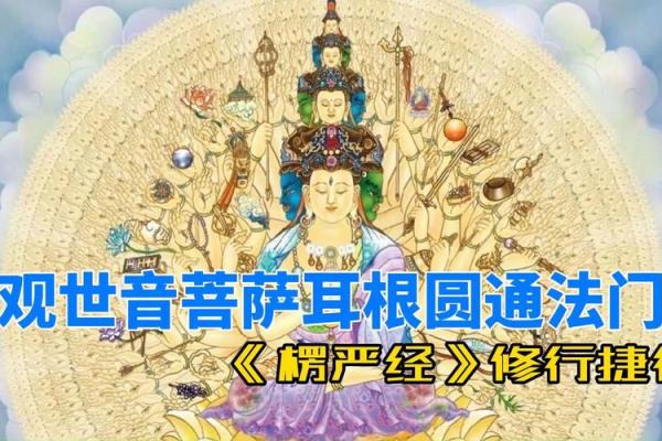 探秘观音命：生命中的庇护与智慧之源