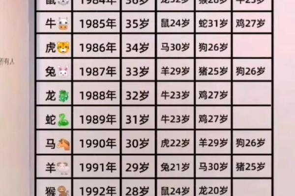 196年出生的人，命运与属相的奥秘解读
