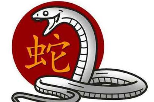 2000年属蛇命格解析：揭开智慧与机遇的神秘面纱