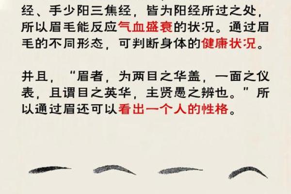 睫毛浓密的人是什么命?透视眉目背后的性格与命运 睫毛浓密的人是什么命?透视眉目背后的性格与命运