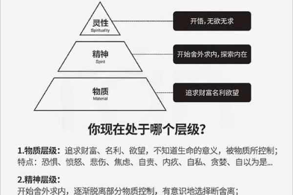 2015年9月5日出生者的命运解析：探索命理中的无尽可能