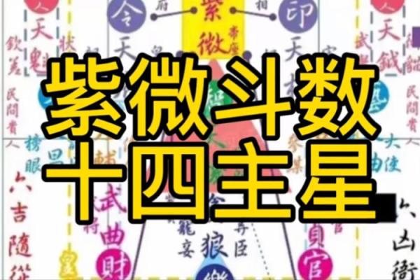 揭秘紫微命盘中的主星:掌握命运的关键 揭秘紫微命盘中的主星:掌握命运的关键