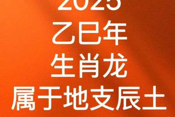 2023年属兔人：解密兔年的财富与命运分析