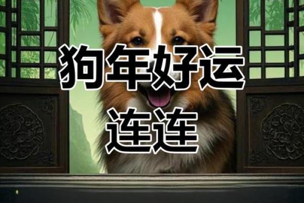 2006年属狗,命途分析与运势展望 2006年属狗,命途分析与运势展望