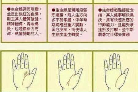 算命为何分男命与女命：天地阴阳的奥秘解析