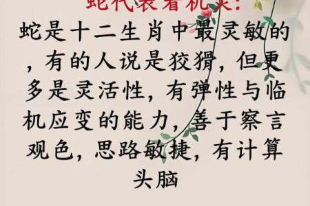 探索2001年蛇年人的命运与性格特征