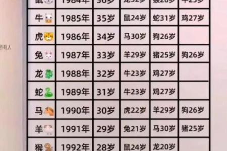 196年出生的人，命运与属相的奥秘解读