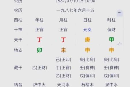 金命之中什么金最硬：深入探索金的不同种类与特性