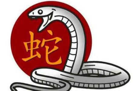 2000年属蛇命格解析：揭开智慧与机遇的神秘面纱