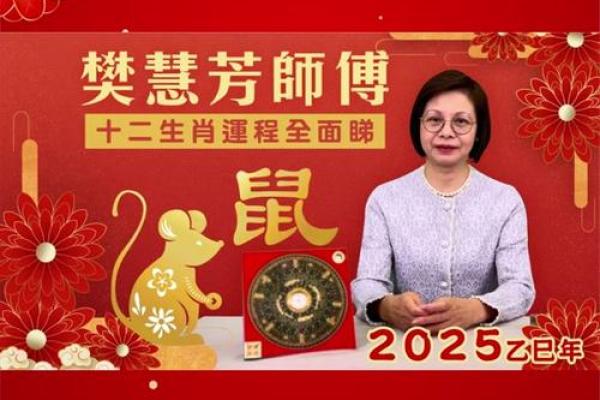 2020鼠年命运解析:揭示不同鼠命的特点与运势! 2020鼠年命运解析:揭示不同鼠命的特点与运势!