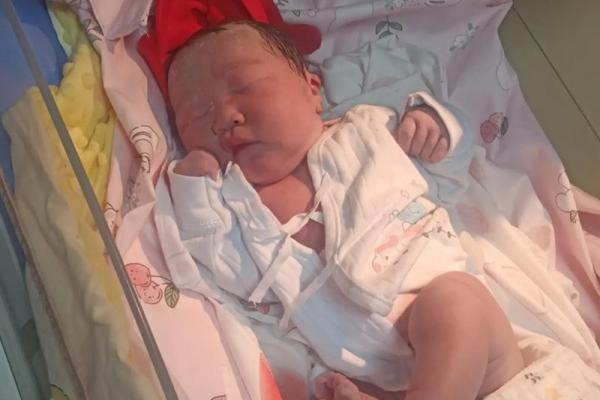 2018年出生的宝宝:命运与个性特征的深度解析 2018年出生的宝宝:命运与个性特征的深度解析