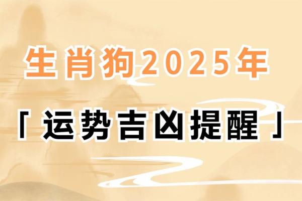 探索50多岁属狗人的命运与人生机遇 探索50多岁属狗人的命运与人生机遇