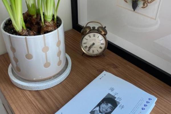 1987年出生的人:命运与性格的深度解读 1987年出生的人:命运与性格的深度解读