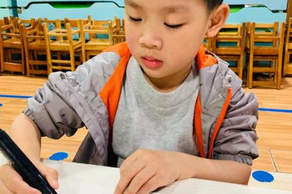 乞食嘴皇帝与动物交响曲：自然界的奇妙故事