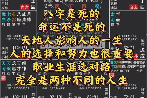 探索男人命运:从八字看人生的方向与选择 探索男人命运:从八字看人生的方向与选择