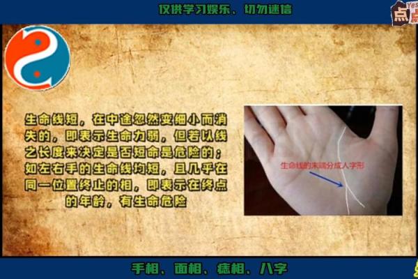 解密女人八个螺纹的命运密码,揭示人生每个阶段的变化与机遇 解密女人八个螺纹的命运密码,揭示人生每个阶段的变化与机遇