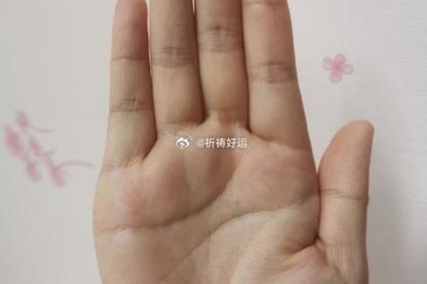 孩子手很大,命运与众不同的秘密! 孩子手很大,命运与众不同的秘密!