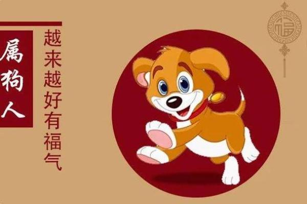 2023年属狗人的命运轨迹与发展之道