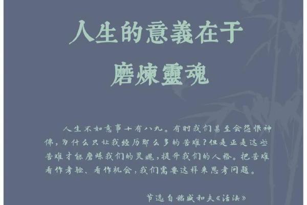 探索“什么是命”的深意与人生哲学