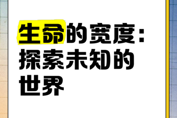 探索“什么是命”的深意与人生哲学