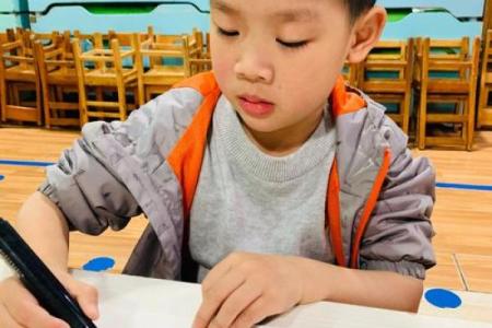 乞食嘴皇帝与动物交响曲：自然界的奇妙故事