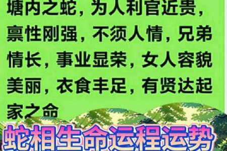 沙中土命与相克关系解析：如何使运势更加顺畅？