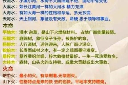 庚午年冬月出生的命理解析：探索命运的奥秘与人生的可能性