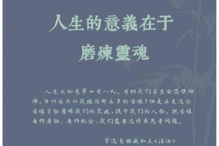 探索“什么是命”的深意与人生哲学