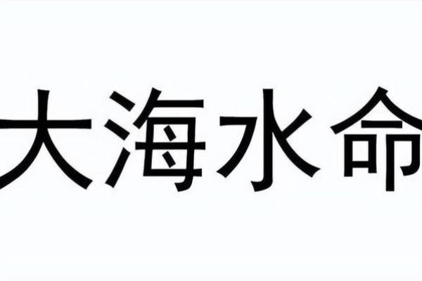 大海水命者的命理解析与运势提升秘籍